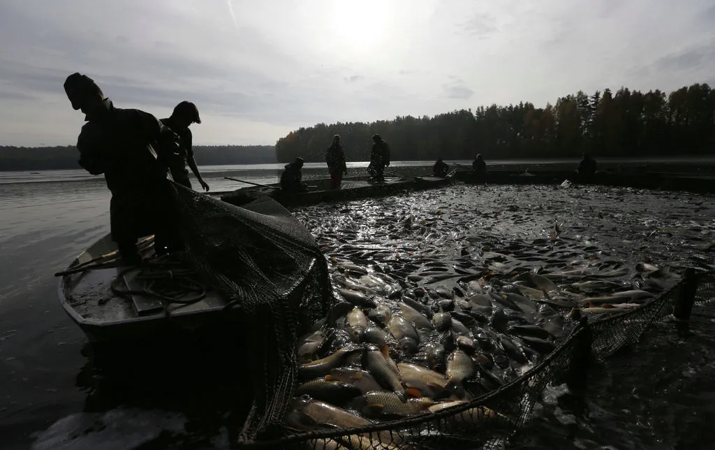 11 рыбопромысловых участков в Новосибирске