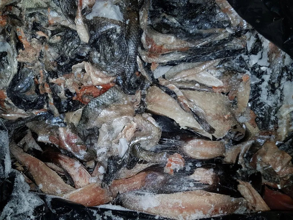 отходы от рыб в Новосибирске 3