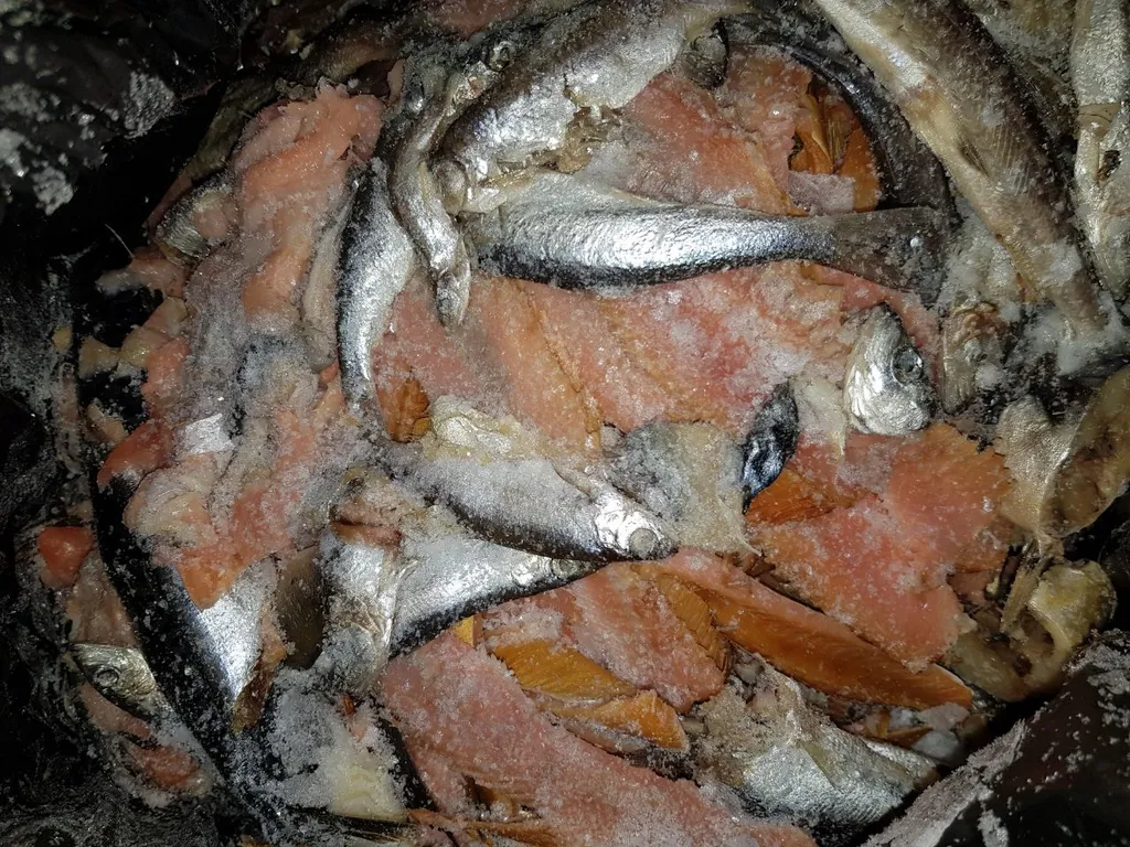 отходы от рыб в Новосибирске 2