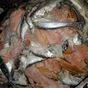 отходы от рыб в Новосибирске 2