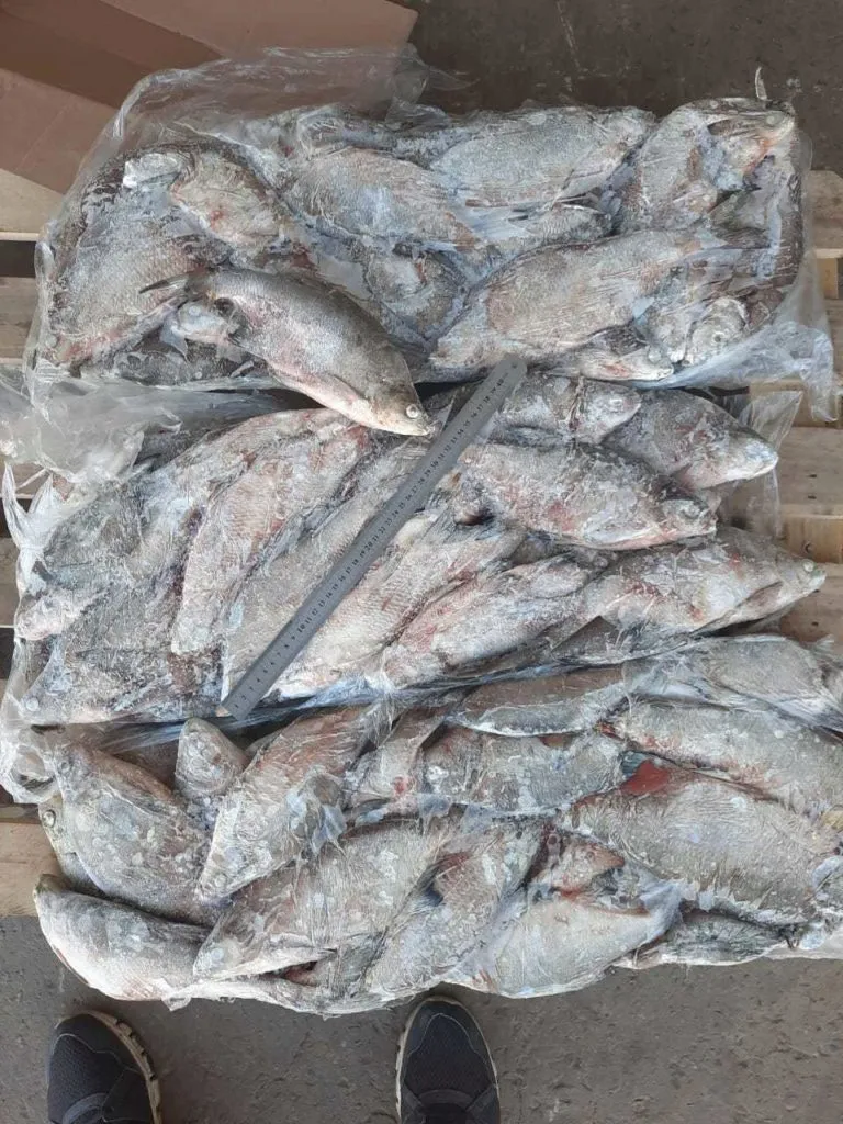 речная рыба: Щука с/м, язь, плотва, лещ. в Новосибирске 5
