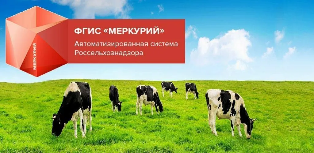 фотография продукта Вет документы ГИС Меркурий Новосибирск
