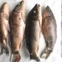 рыба мороженая в ассортименте в Новосибирске и Новосибирской области