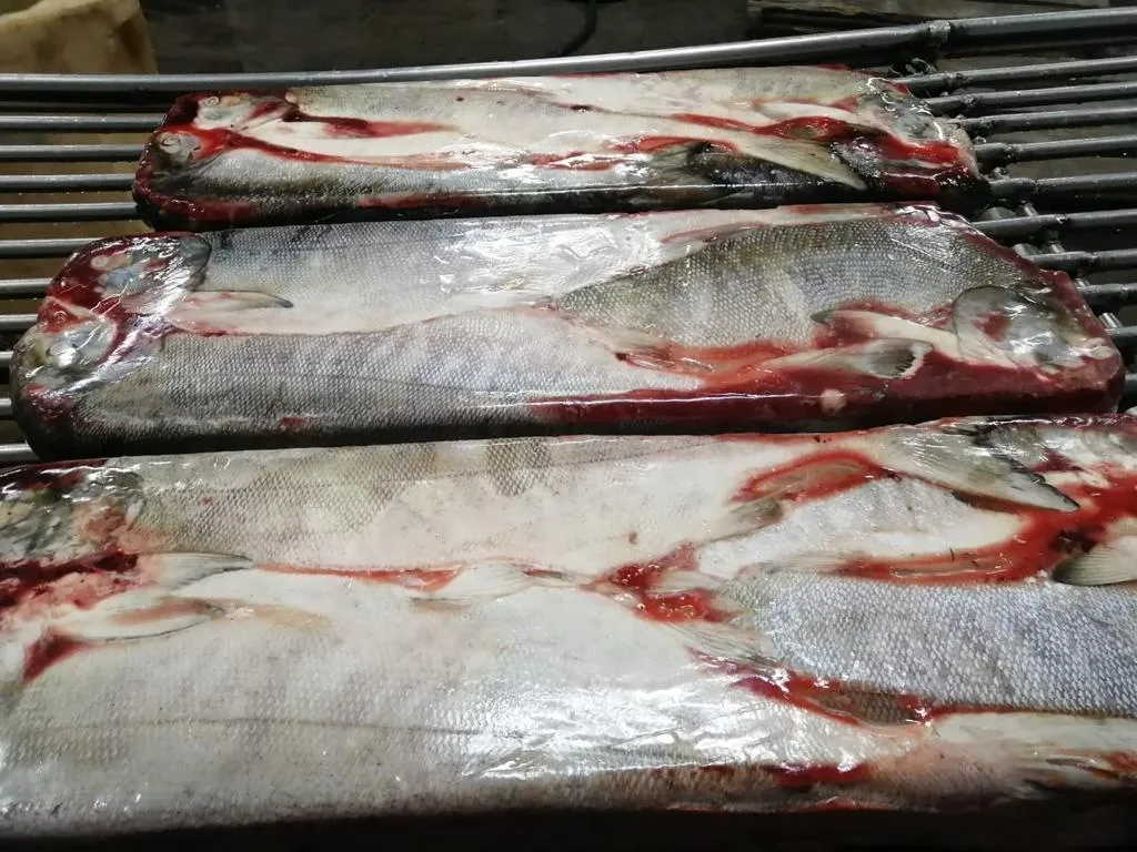 свежемороженая рыба оптом недорого в Новосибирске и Новосибирской области 5