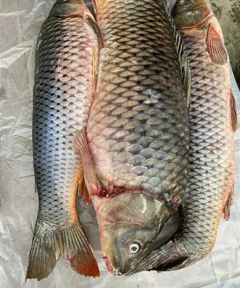 рыба разная котлеты в наличии  под заказ в Новосибирске